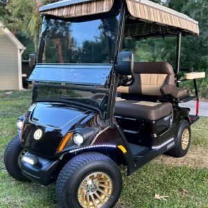 Yamaha Drive2 PTV