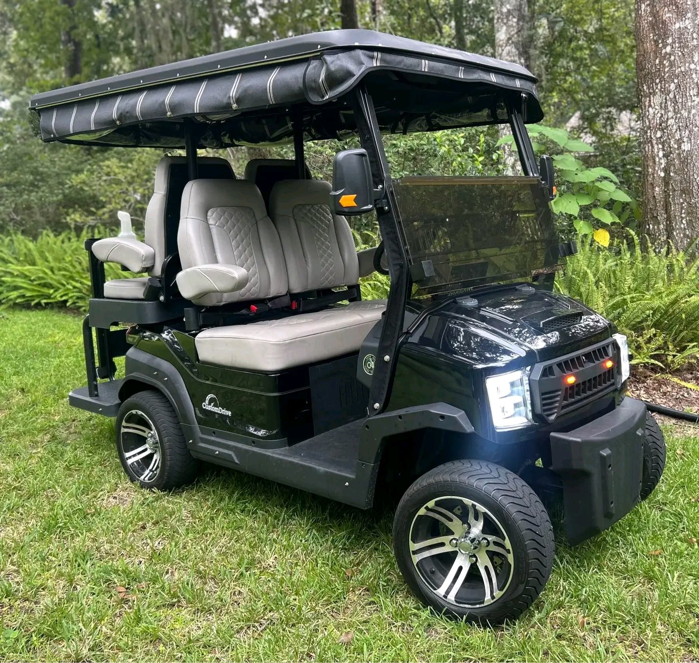 Custom Drive Electric Golf Cart, - Image 10