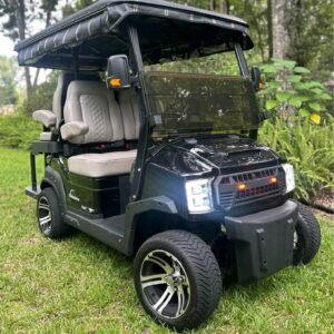 Custom Drive Electric Golf Cart,