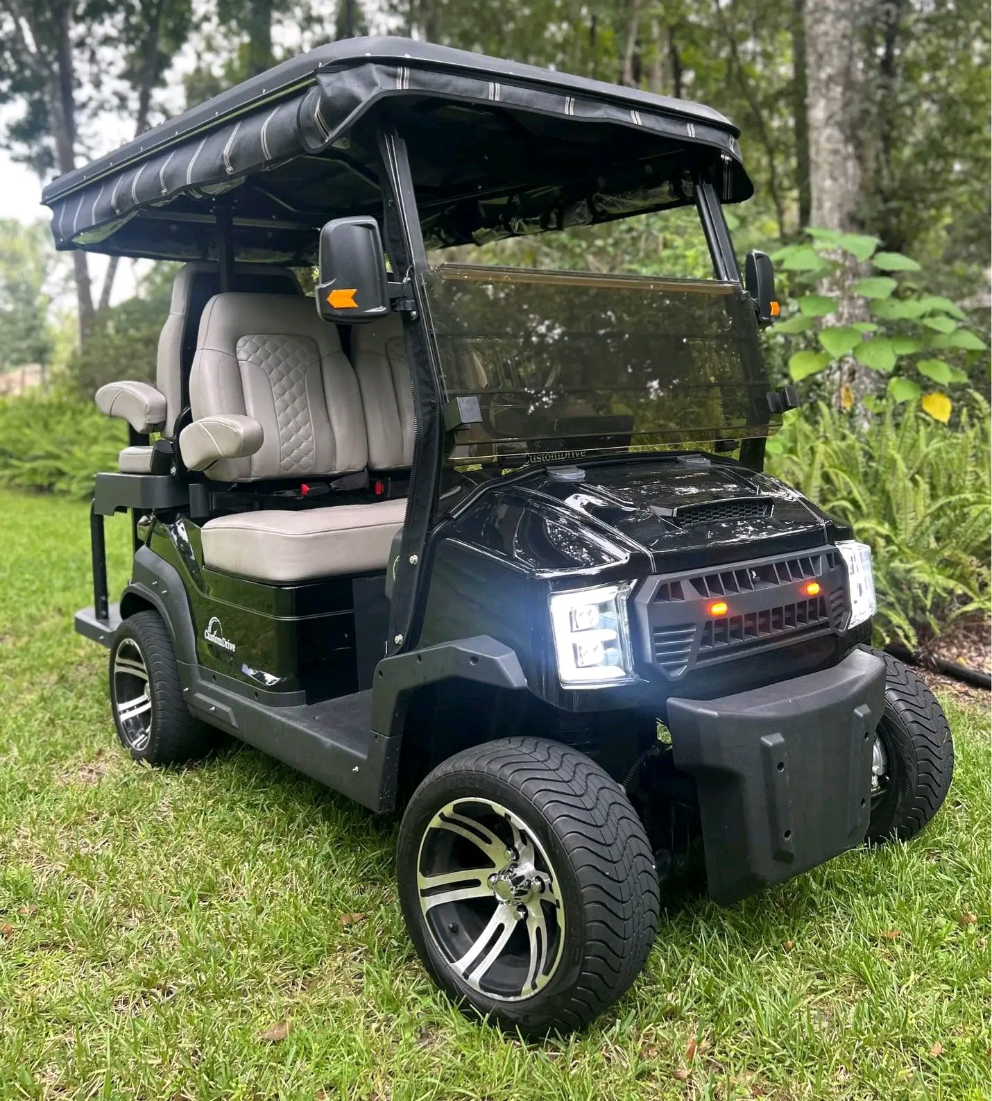 Custom Drive Electric Golf Cart,