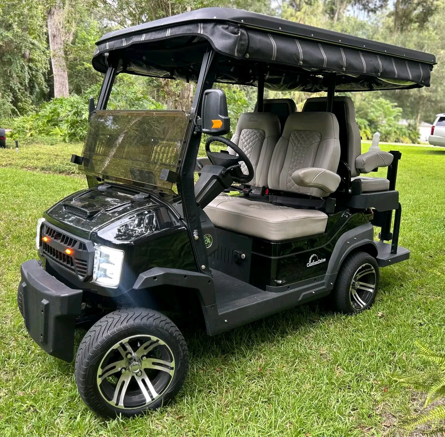 Custom Drive Electric Golf Cart, - Image 6