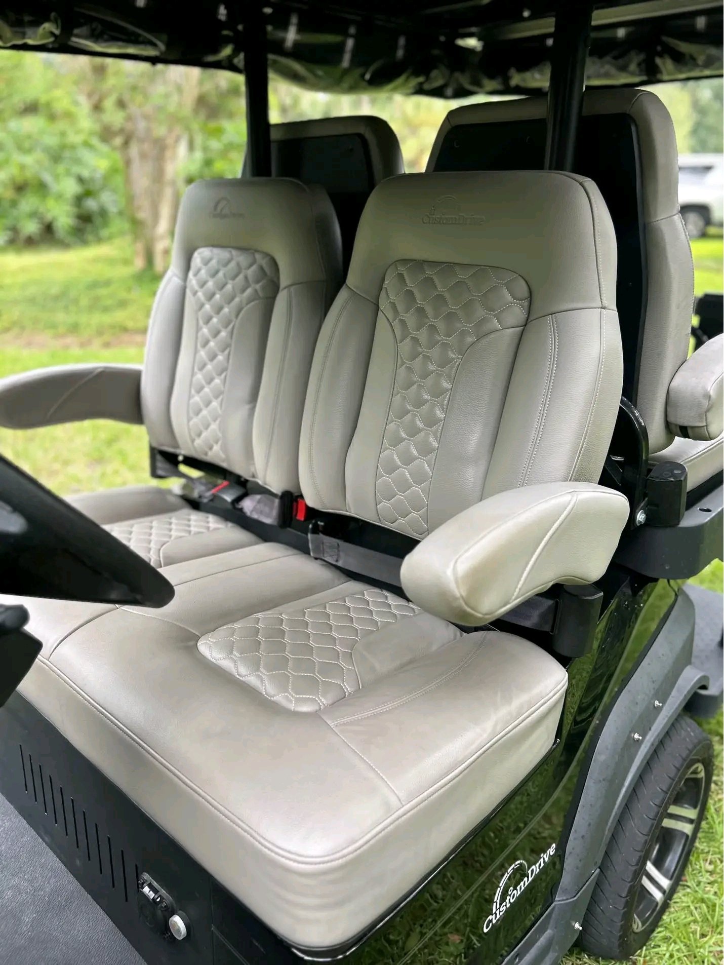Custom Drive Electric Golf Cart, - Image 7