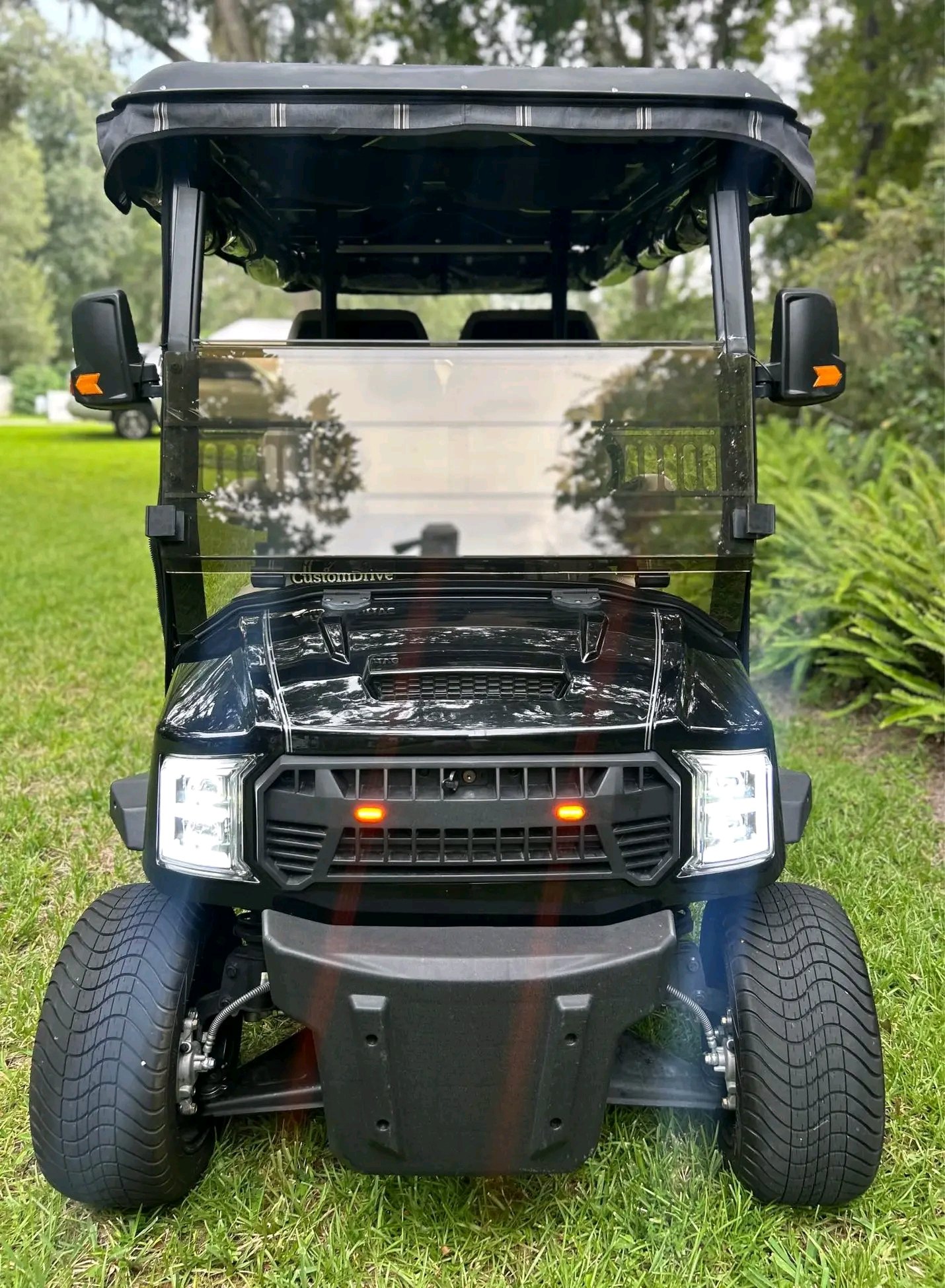 Custom Drive Electric Golf Cart, - Image 5