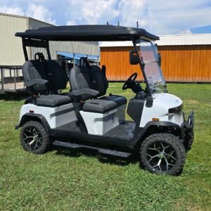 The Denago Rover XL golf cart