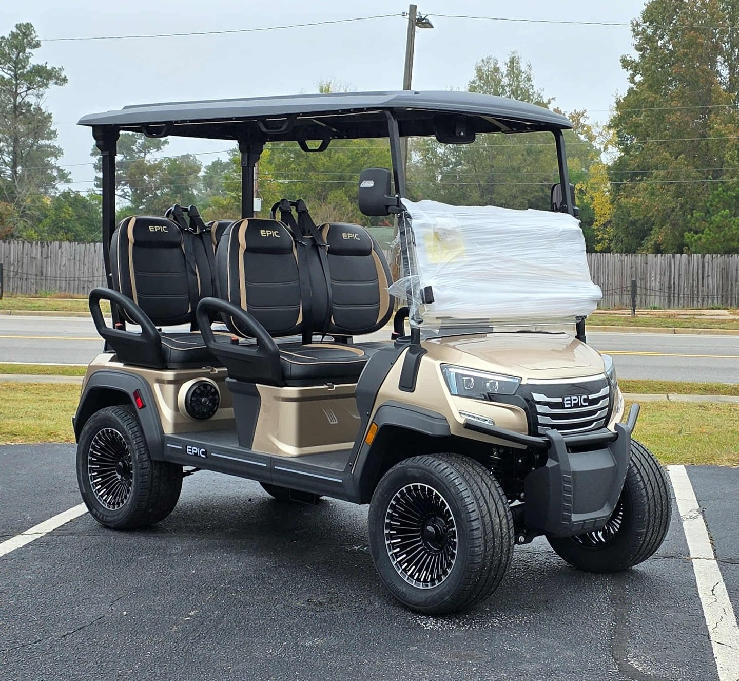 Epic E40FX golf cart - Image 6