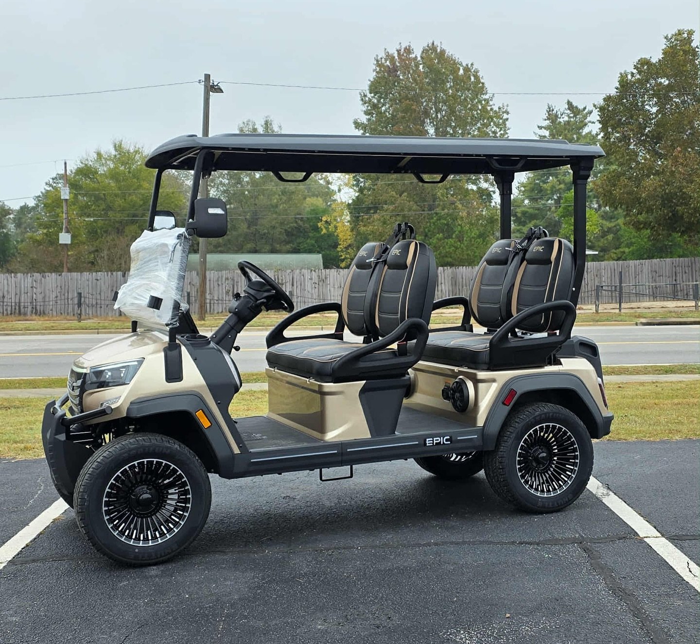 Epic E40FX golf cart - Image 5