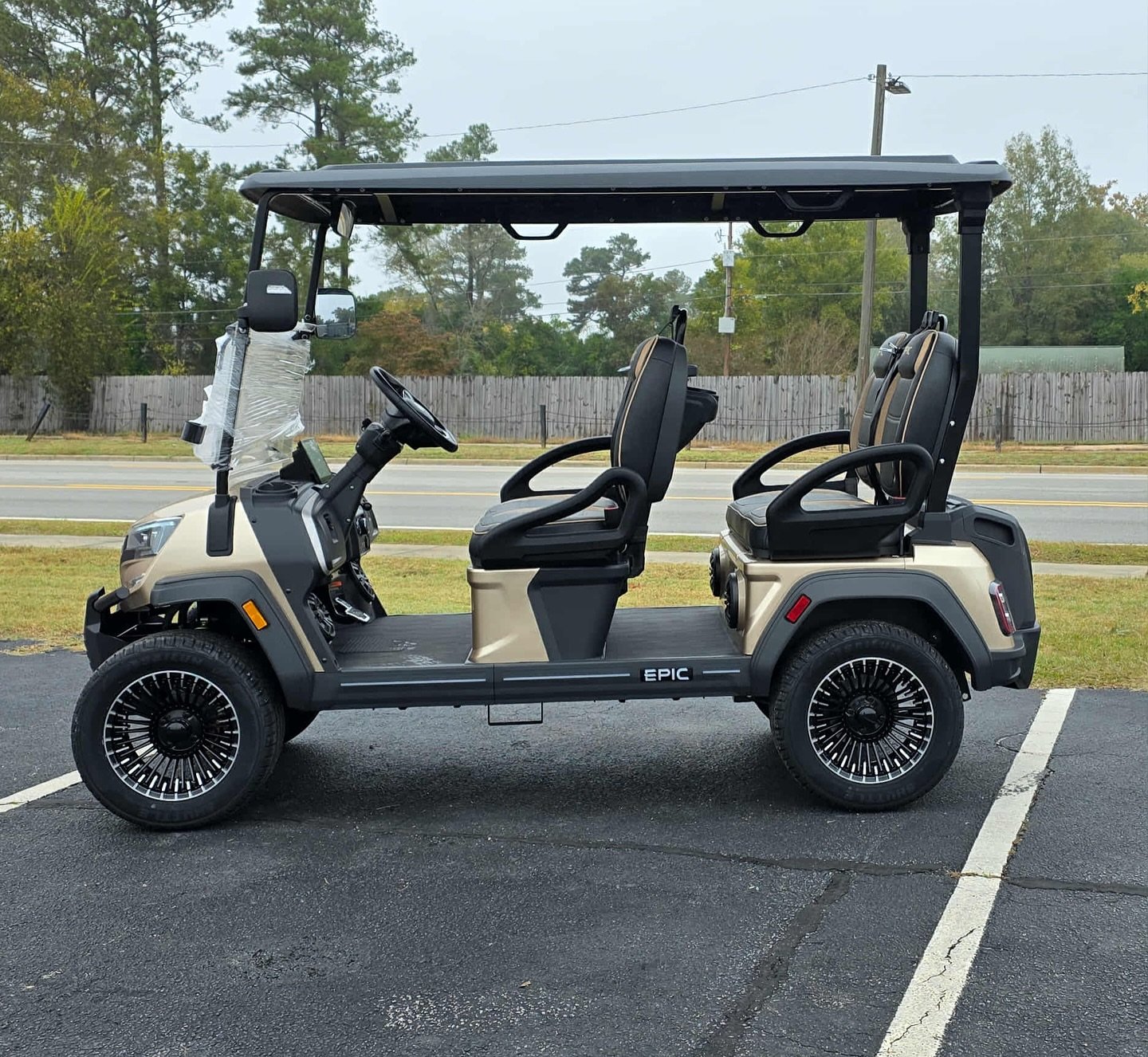 Epic E40FX golf cart - Image 4