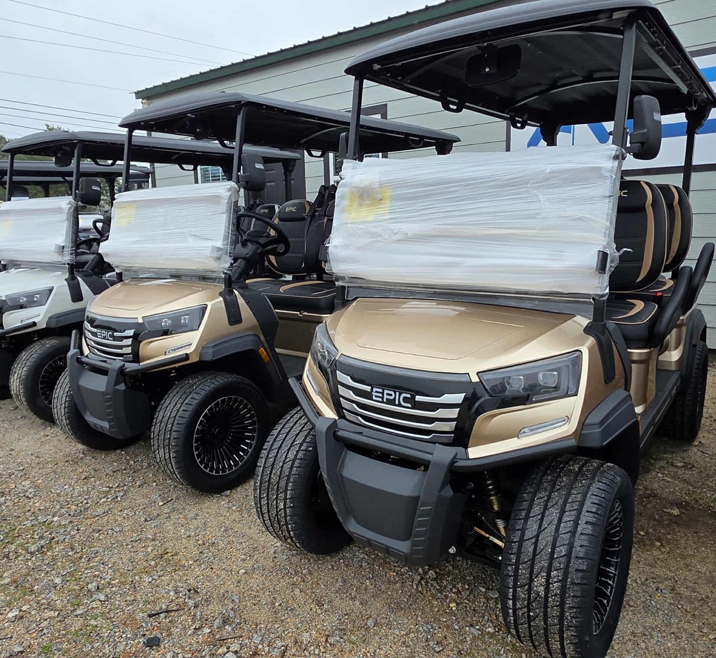Epic E40FX golf cart - Image 2